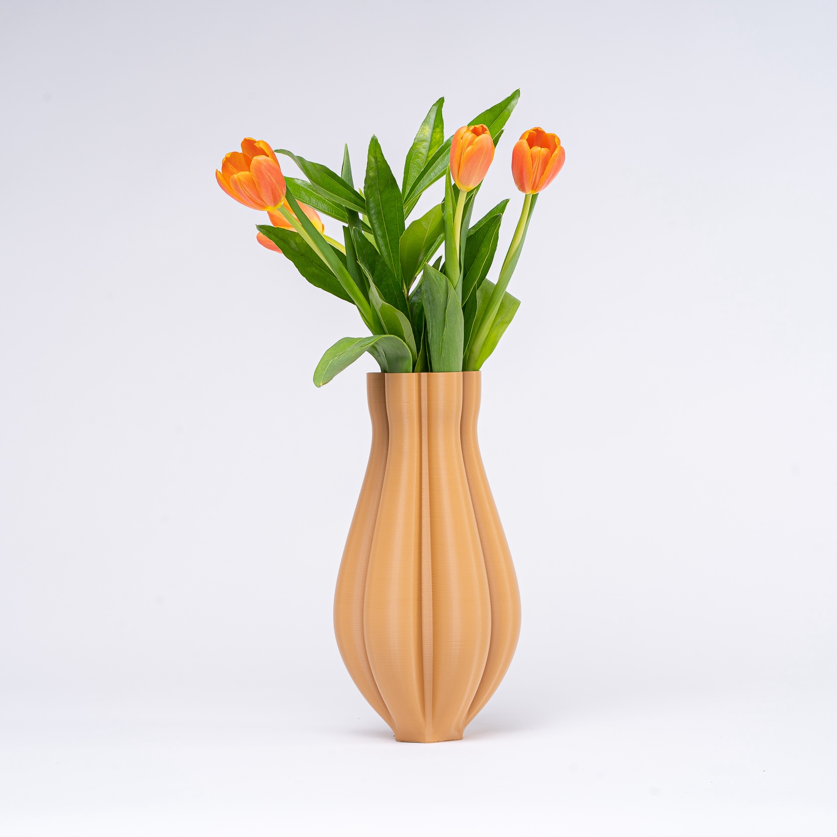 Tulip